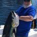 Johnny Marsh - Facebook