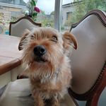 Johnny Marsh - @johnny.marsh.92 - Instagram
