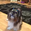 Johnny Mathes - @johnny.mathes - TikTok