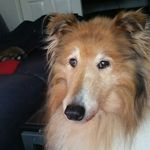 John McCartney - @john.mccartney.24 - Instagram