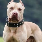 Scott Swask Klaklyr Klaklyr - @johnnymccartneystall - Instagram