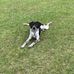 Johnny McClure - Facebook