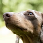 John McCulloch - @studdogsuk - Instagram