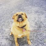 Cash Johnny Mcgregor - @cash_mcgregor - Instagram