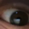 johnny.mcgregor - @johnny.mcgregor - TikTok