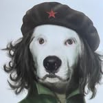 John McHugh - @jcmchugh2025 - Instagram