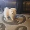 John Mchugh - @john.mchugh65 - TikTok