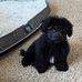 John McPhail - Facebook