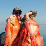 Johnny Mitchell - @johnny_mitchell_wildways - Instagram