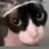 johnnymonge27 - @johnnymonge27 - TikTok