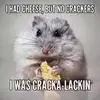 Johnny Montiel - @johnny.montiel7 - TikTok