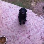John Allen Mooneyham - @johnmooneyham - Instagram
