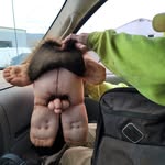 John Moser - @john.moser.370 - Instagram