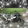 John Müller313 - @johnny_mueller - TikTok