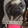 Pug life 40 - @johnny.mueller1234 - TikTok