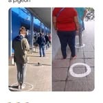 johnny-nicholas - @johnnynicholas63 - Instagram
