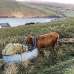Johnny - @johnnyoakley_ - Instagram