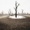 johnnyoh - @johnnyoh30 - TikTok