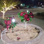 Johnny  E. Osuna Memorial Park - Facebook