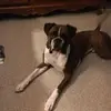 John Ottaviano578 - @johnnyotto1 - TikTok