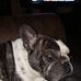 Johnny Otto - Facebook