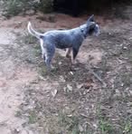 Johnnie Packer - Facebook