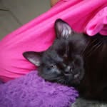 John Padgett - @john.padgett.56679 - Instagram