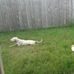 Johnny Cash Parsons - Facebook