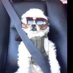 Johnny Parsons - @johnnyp1022 - Instagram