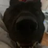 Johnny Parsons - @jlparso1456 - TikTok