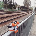 Johnny Wong - @johnny.peace.ple - Instagram