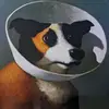 johnnypee - @johnnypee - TikTok