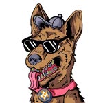 Johnny Peña - @johnnypena - Instagram
