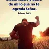 Johnny Pena - @johnnypena16 - TikTok