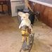 Johnny L Pentecost - Facebook