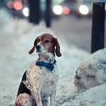 Johnny Petersen - @petersen_johnny - Instagram