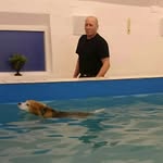 Johnny Petersen - @jopet1949 - Instagram