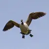 Johnny.Pickle - @johnny.pickle - TikTok