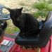 Johnny Posey - Facebook