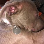 John Poston - @go_die_alone - Instagram