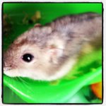 Johnny Prescott - @cateatru - Instagram