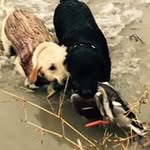 Johnny Rainbolt - @johnnyrainbolt - Instagram