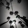 Johnny Rea - @johnny.rea - TikTok