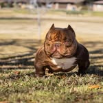 Johnny Real - @johnny_real_ogdblss_ - Instagram