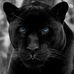 Johnny Register - Facebook