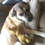 Johnny Richmond - @richmond7414 - Instagram