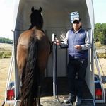 john ricketts - @johnricketts_horsedevelopment - Instagram