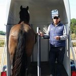 john ricketts _ horsedevelopme - @johnricketts_horsede - Instagram