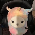 Johnny - @johnnyrobles478 - Instagram