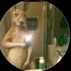 Johnny Robles - @johnny.robles68 - TikTok
